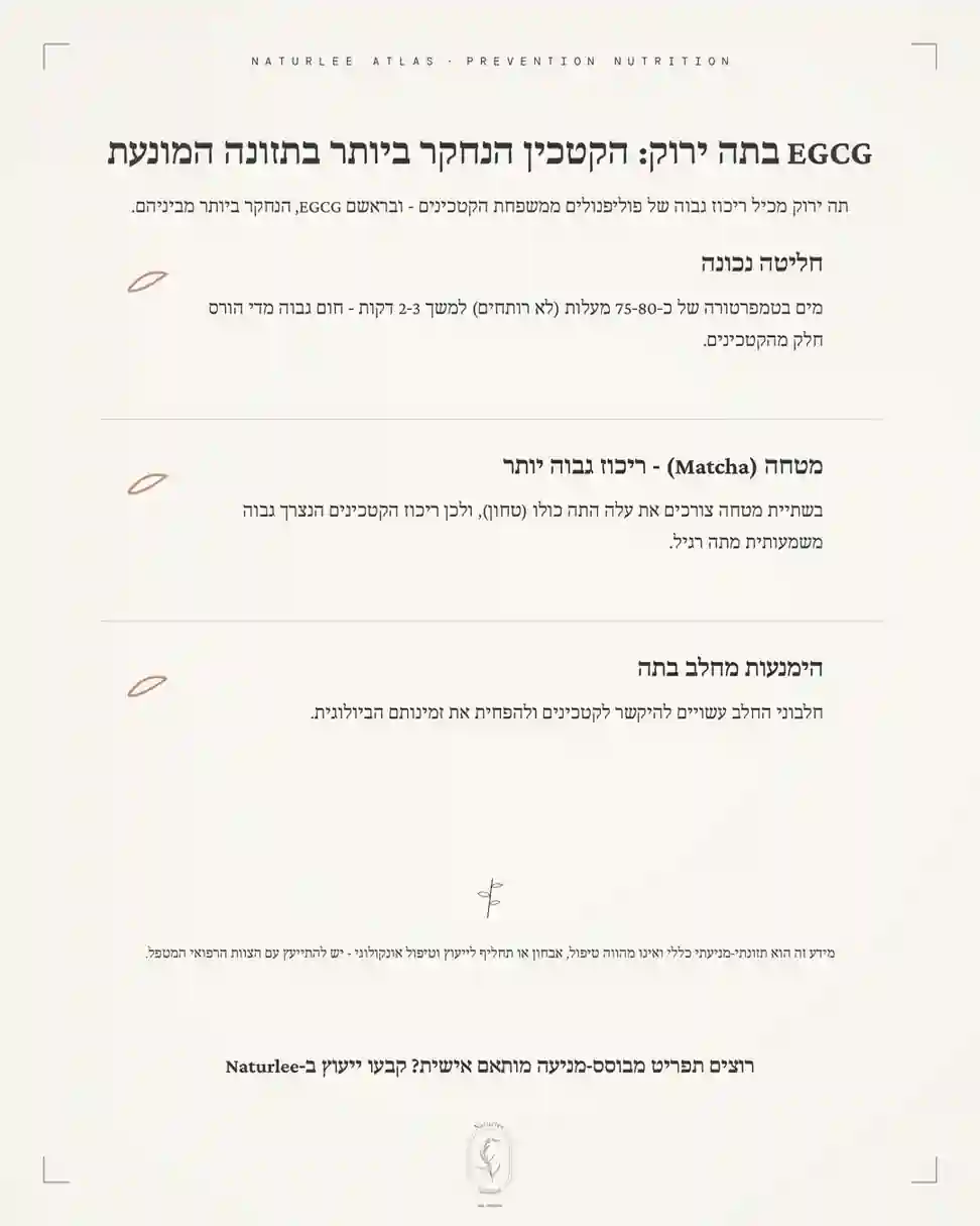 עיצוב גרפי על הכנת תה ירוק באופן שמפיק את ספיגת ה-EGCG