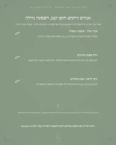 חופן אגוזים וזרעים עשירי אומגה 3